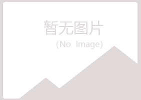 青山区腐朽会计有限公司